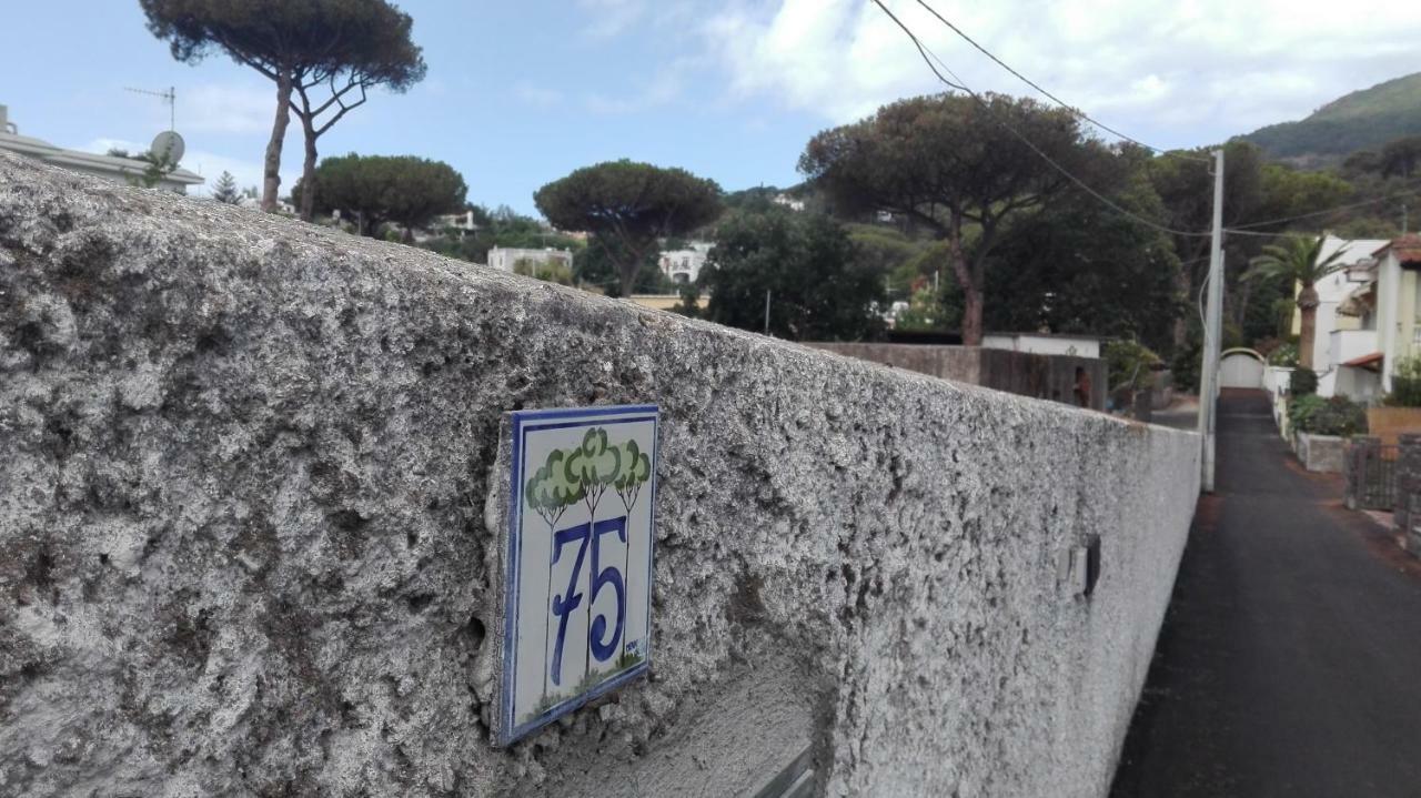 Villa Immersa Nel Verde Ischia Exterior photo
